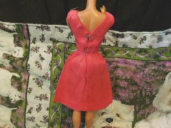 campus belle coral back